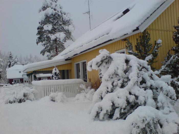 fred 4 mars 2011. vinter hemma